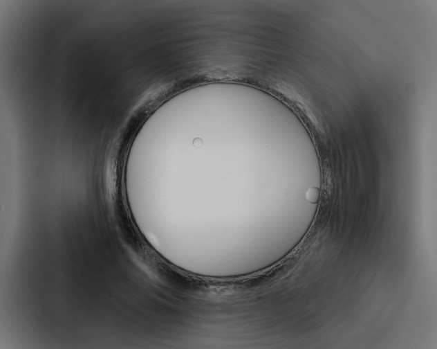 X0000088220686200705151029