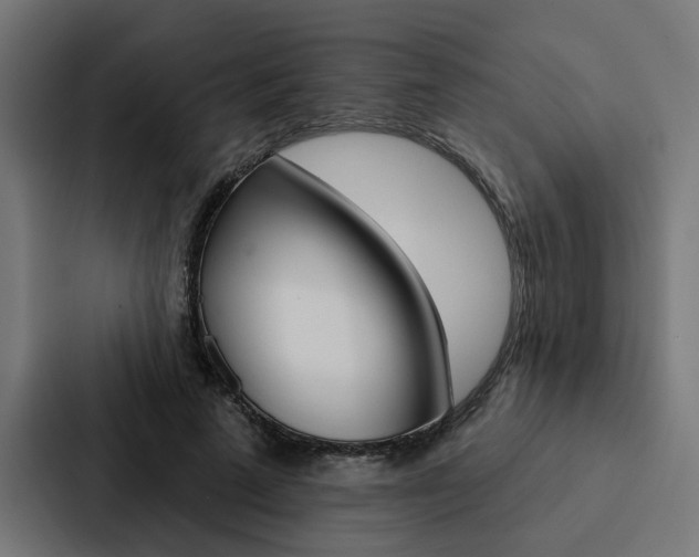 X0000088220689200705151029