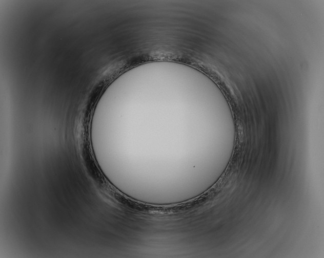 X0000088220690200705151029
