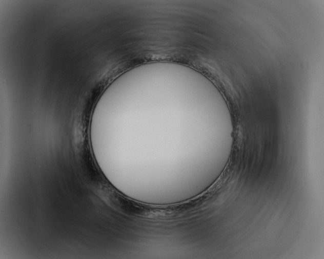 X0000088220691200705151029