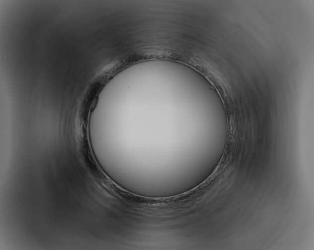 X0000088220692200705151029