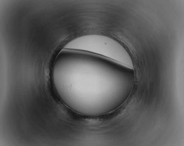 X0000088220693200705151029