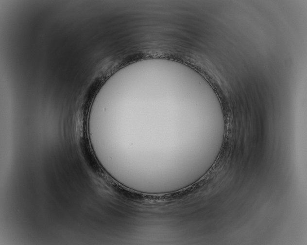 X0000088220694200705151029
