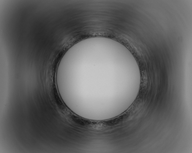X0000088220695200705151029