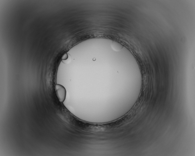 X0000088220698200705151029