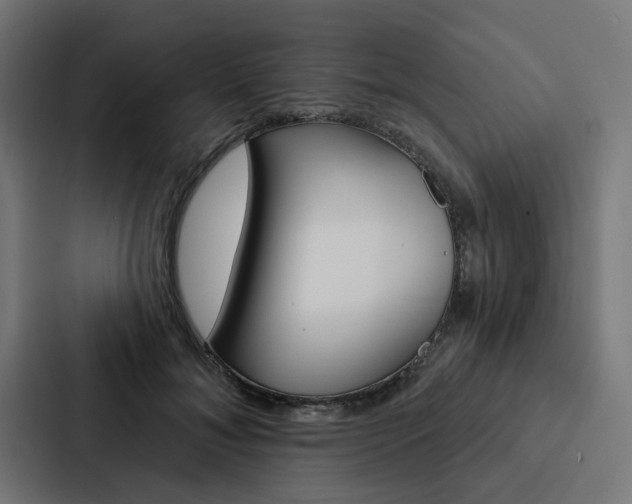 X0000088220700200705151029