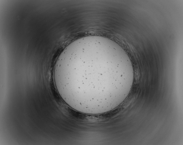 X0000088220703200705151029