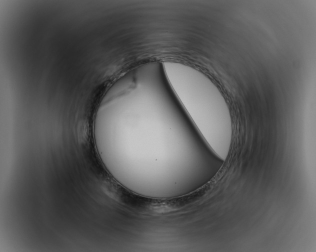 X0000088220704200705151029