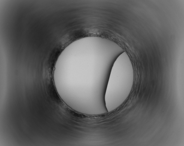X0000088220707200705151029