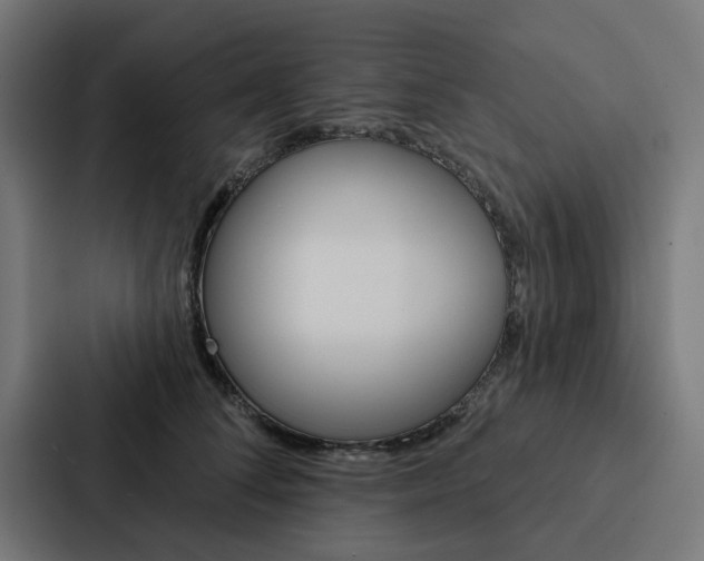 X0000088220708200705151029