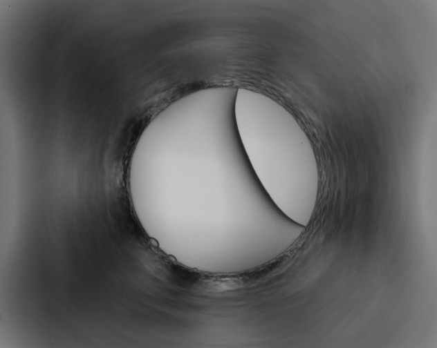 X0000088220711200705151029
