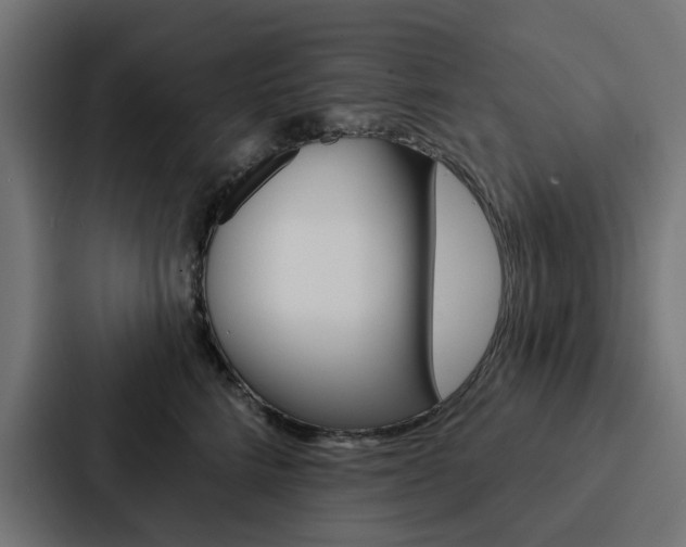 X0000088220712200705151029