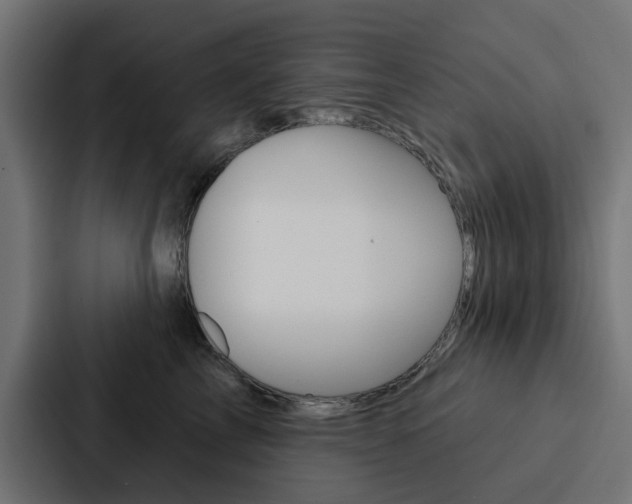 X0000088220713200705151029