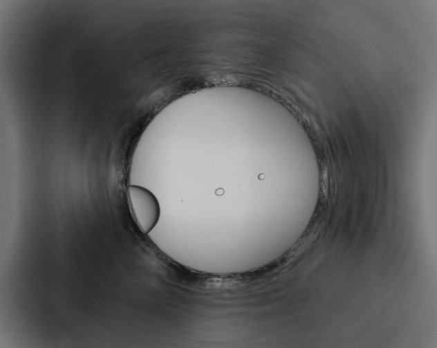 X0000088220714200705151029