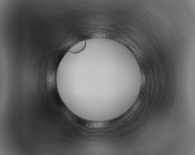 X0000088220717200705151029