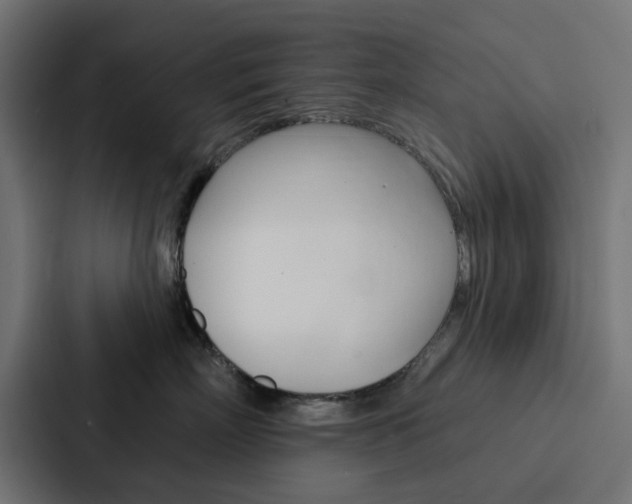X0000088220718200705151029