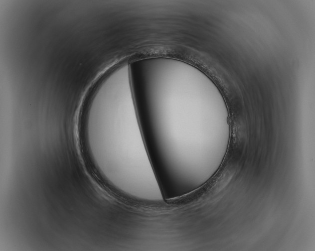 X0000088220722200705151028