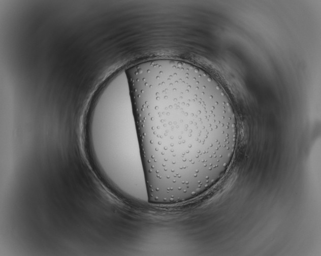 X0000088220725200705151028