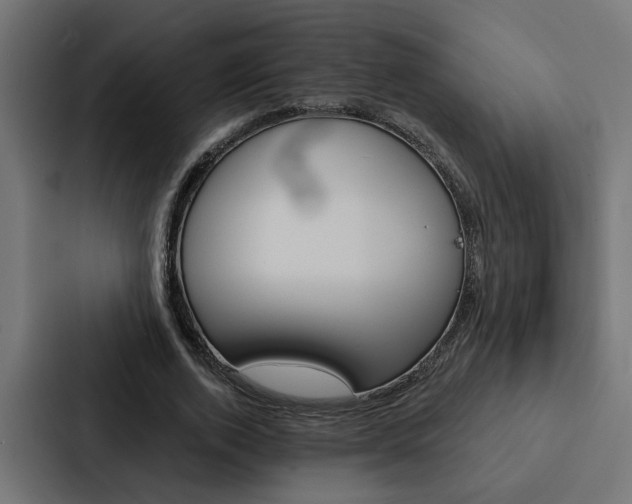 X0000088220728200705151028