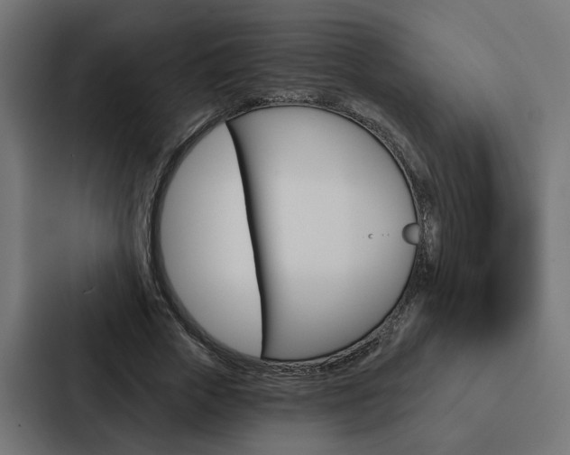 X0000088220729200705151028