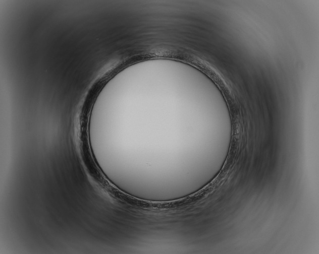 X0000088220730200705151028