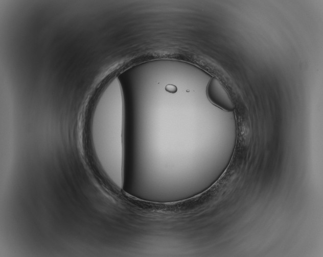X0000088220732200705151028