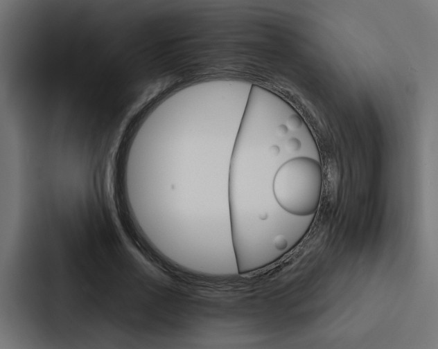 X0000088220734200705151028