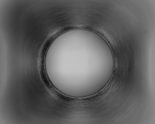 X0000088220736200705151028