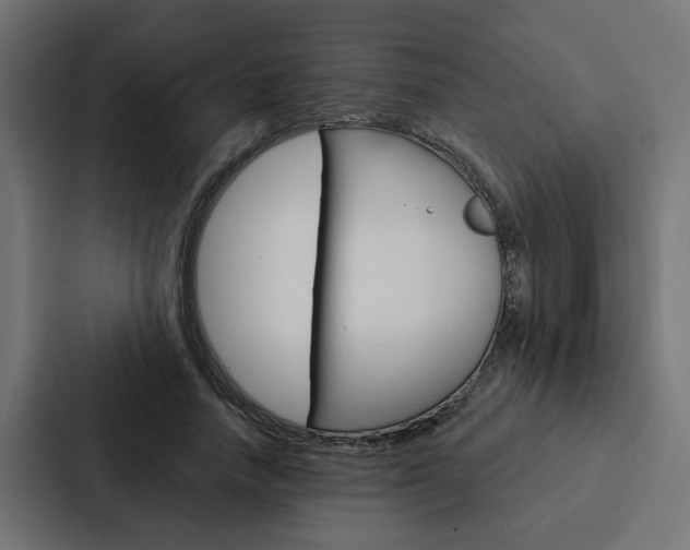X0000088220738200705151028