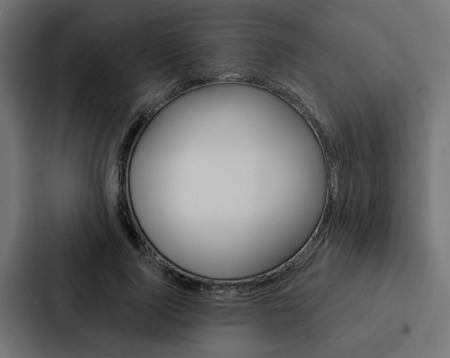 X0000088220740200705151028