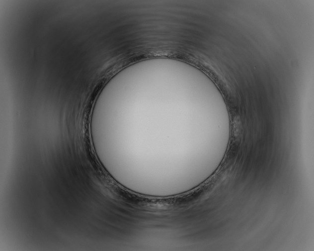 X0000088220741200705151028