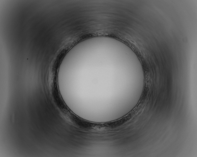 X0000088220742200705151028