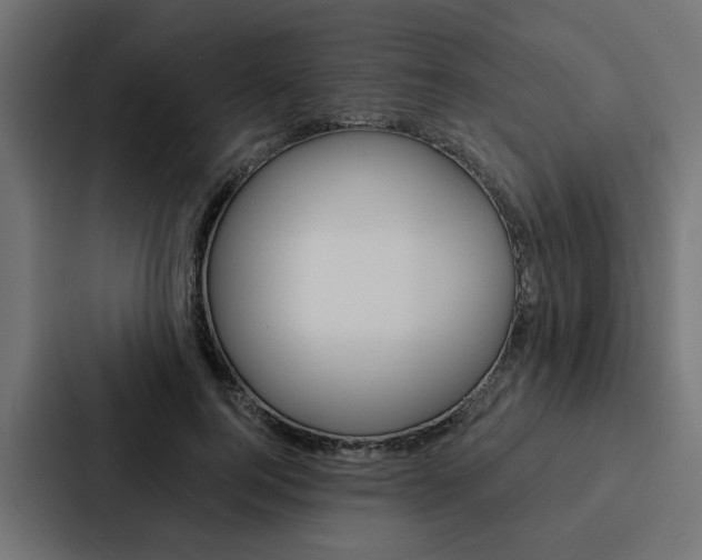 X0000088220744200705151028