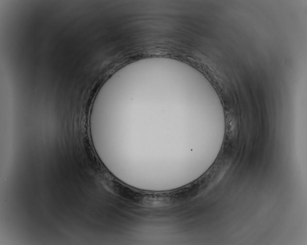 X0000088220745200705151028