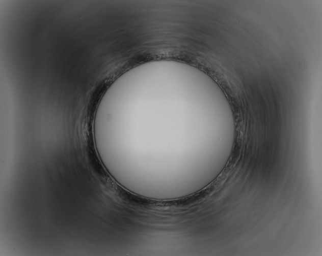 X0000088220746200705151028