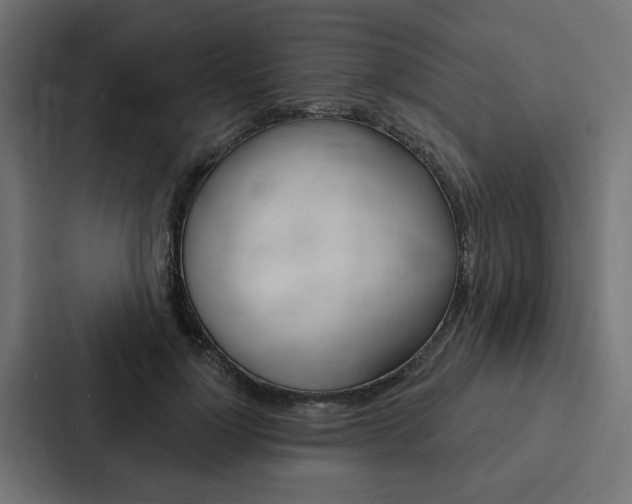 X0000088220748200705151029