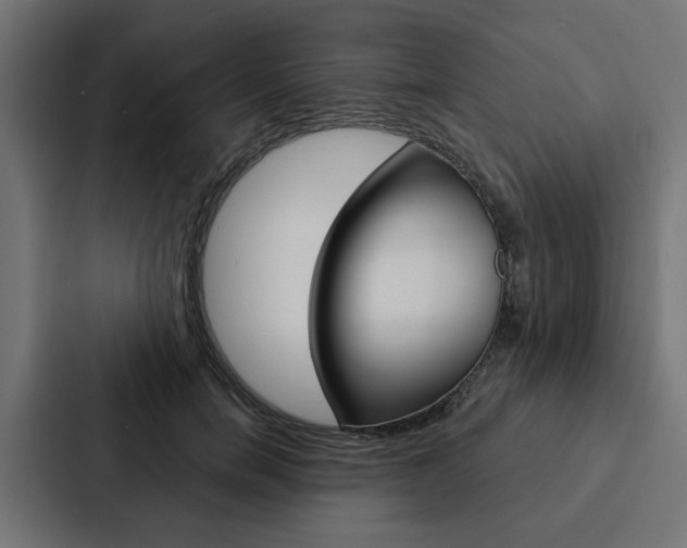 X0000088220750200705151029