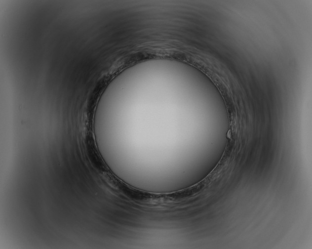 X0000088220752200705151029