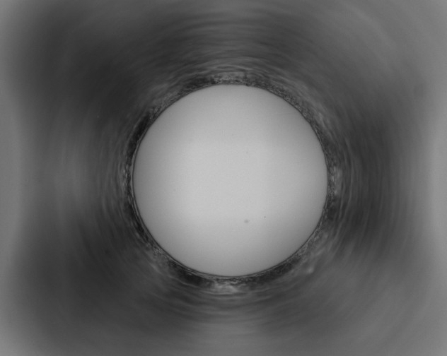 X0000088220753200705151029
