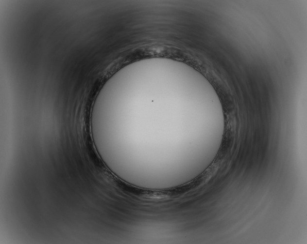 X0000088220754200705151029