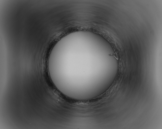 X0000088220756200705151029