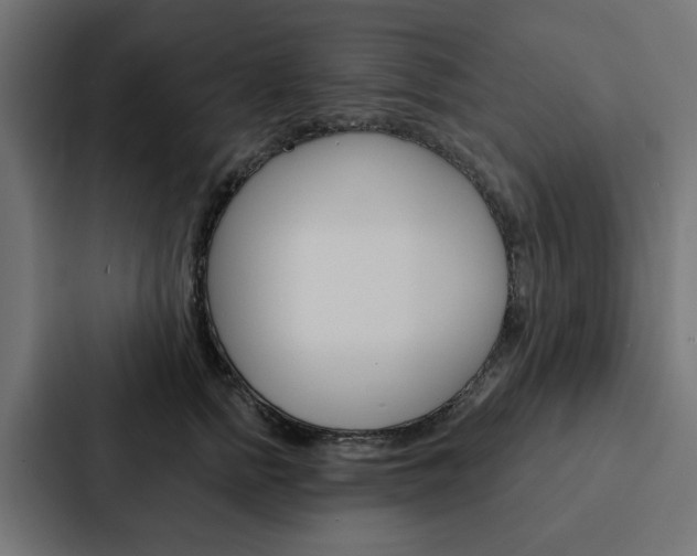 X0000088220758200705151029