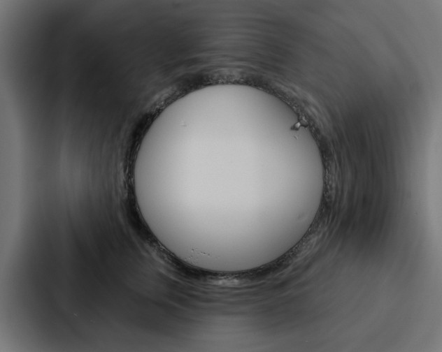 X0000088220759200705151029