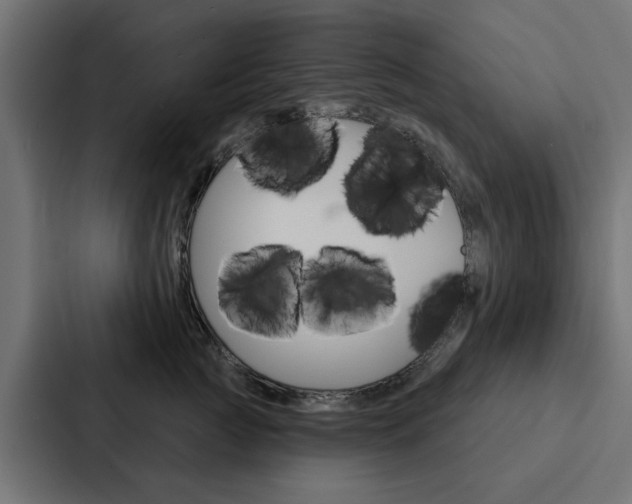X0000088220761200705151029