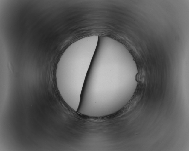 X0000088220763200705151029