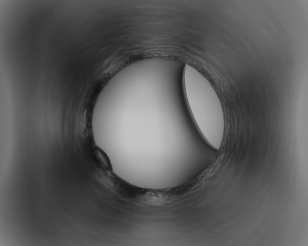 X0000088220764200705151029