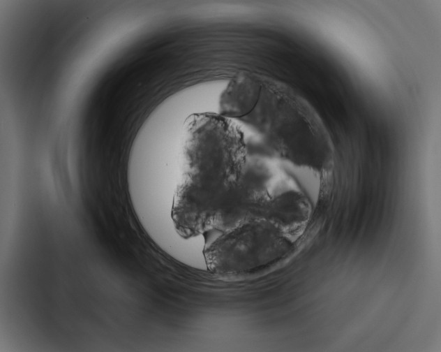 X0000088220765200705151029
