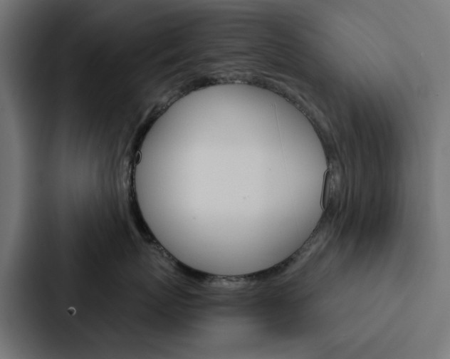 X0000088220767200705151029