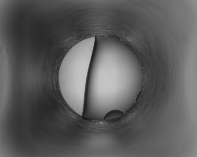 X0000088220768200705151029