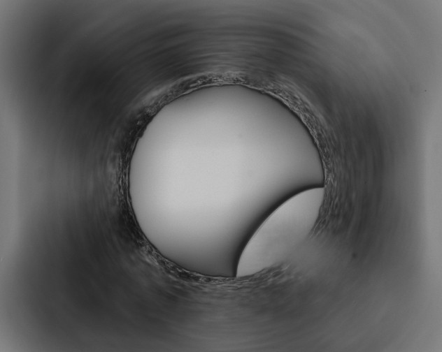 X0000088220773200705151028